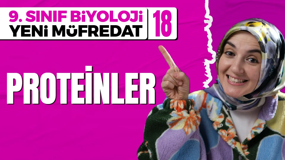 Proteinler 9. Sınıf Biyoloji Maarif Modeli PDF İndir Görseli