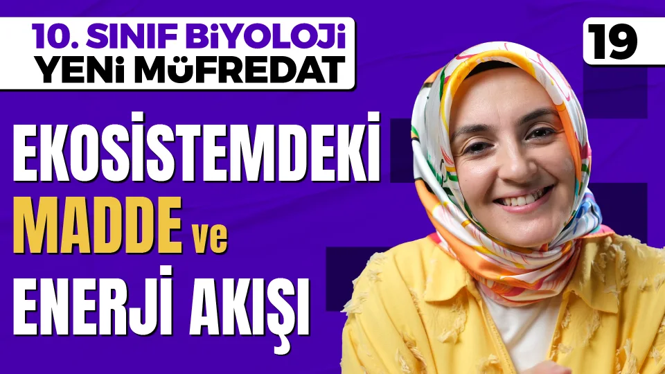 Ekosistemdeki Madde ve Enerji Akışı 10. Sınıf Maarif Modeli PDF İndir