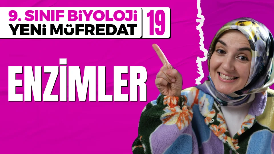 Enzimler 9. Sınıf Biyoloji Maarif Modeli PDF İndir Görseli