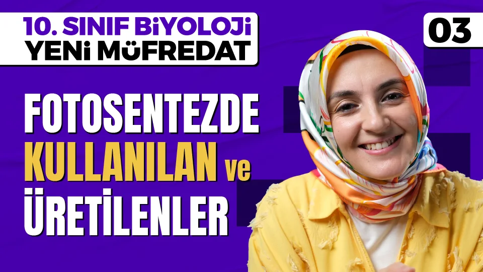 Fotosentezde Kullanılan ve Üretilen Maddeler 10. Sınıf Biyoloji PDF İndir Görseli