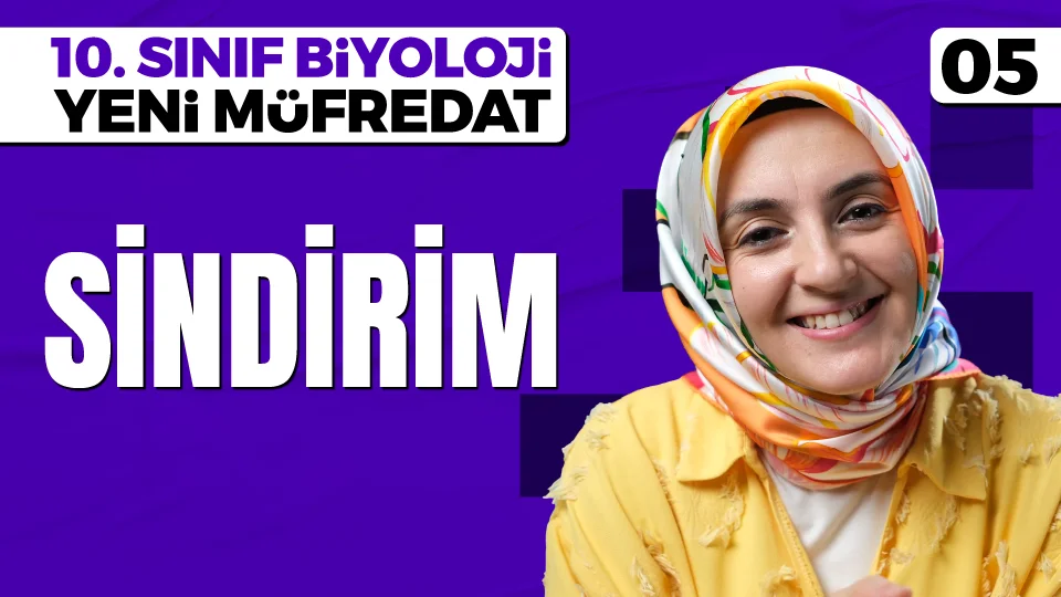 Sindirim 10. Sınıf Biyoloji Maarif Modeli PDF İndir Görseli