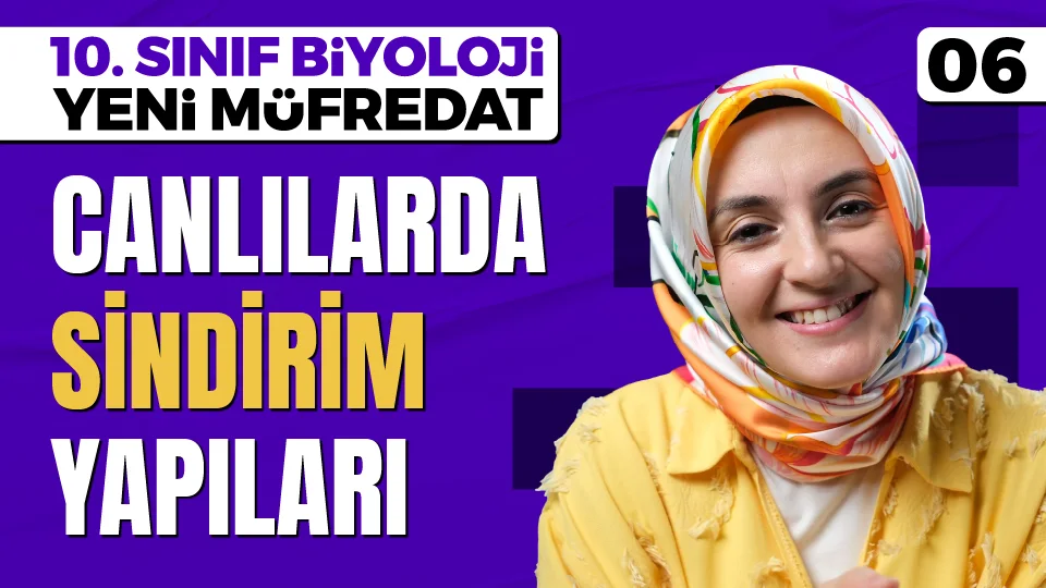 Canlılarda Sindirim Yapıları 10. Sınıf Biyoloji Maarif Modeli PDF İndir Görseli