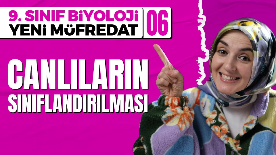 9. Sınıf Biyoloji Sınıflandırma Ders Notu