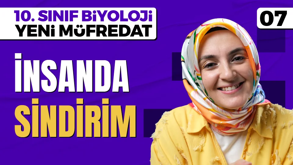 İnsanda Sindirim 10. Sınıf Biyoloji Maarif Modeli PDF İndir Görseli