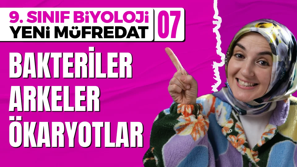 9. Sınıf Biyoloji Üç Üst Âlem Sistemi Ders Notu
