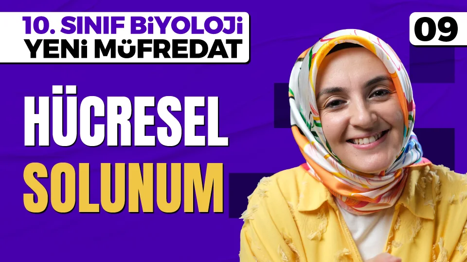 Hücresel Solunum 10. Sınıf Biyoloji Maarif Modeli PDF İndir Görseli
