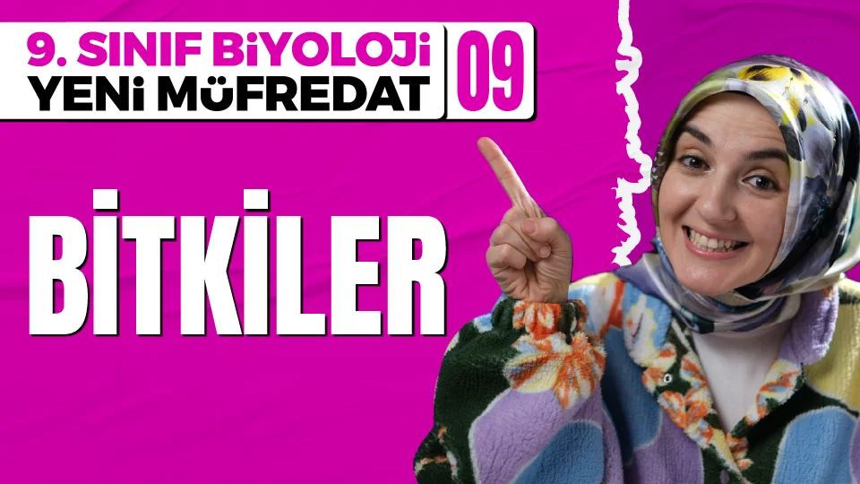 Bitkiler Alemi 9. Sınıf Biyoloji Maarif Modeli Konu Anlatımı Görseli